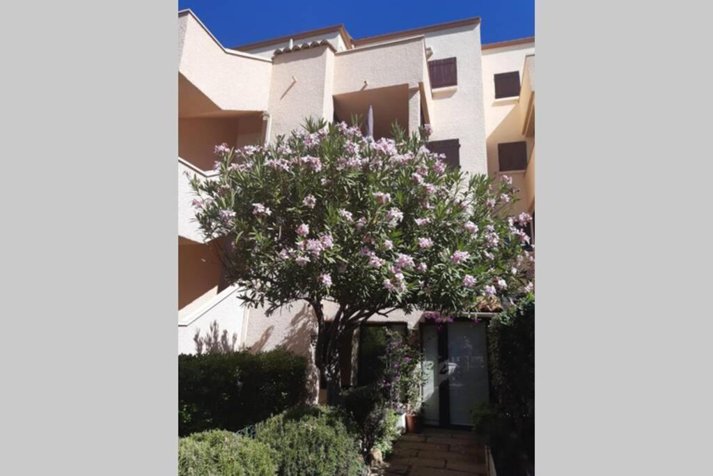 Appartement Calme Entre Terre Et Mer Proche Plage Fleury  Exterior foto